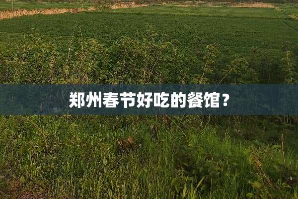 郑州春节好吃的餐馆？