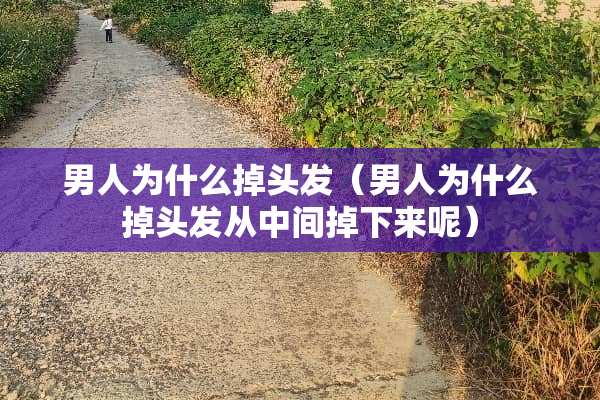 男人为什么掉头发（男人为什么掉头发从中间掉下来呢）