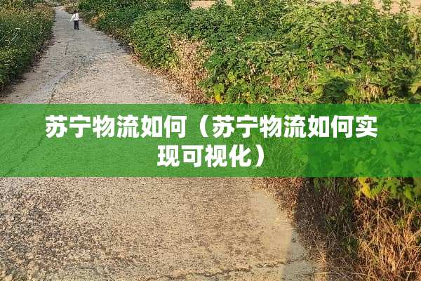 苏宁物流如何（苏宁物流如何实现可视化）