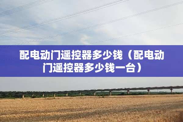 配电动门***多少钱（配电动门***多少钱一台）