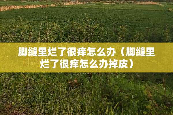 脚缝里烂了很痒怎么办（脚缝里烂了很痒怎么办掉皮）