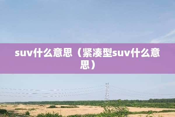 suv什么意思（紧凑型suv什么意思）