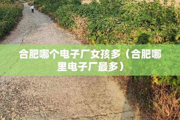 合肥哪个电子厂女孩多（合肥哪里电子厂最多）