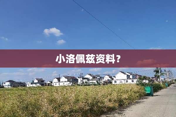 小洛佩兹资料？