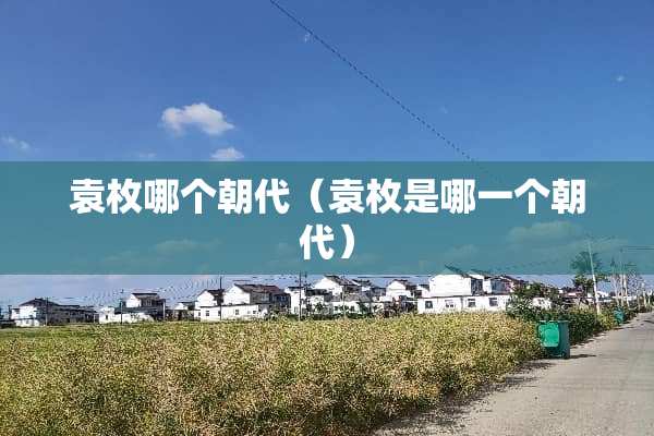 袁枚哪个朝代（袁枚是哪一个朝代）