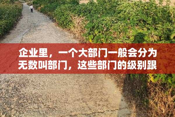 企业里，一个大部门一般会分为无数叫部门，这些部门的级别跟叫法怎么区分？