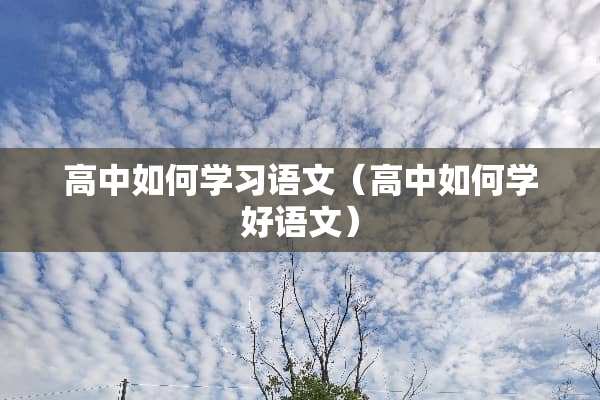 高中如何学习语文（高中如何学好语文）