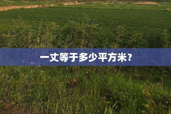 一丈等于多少平方米？
