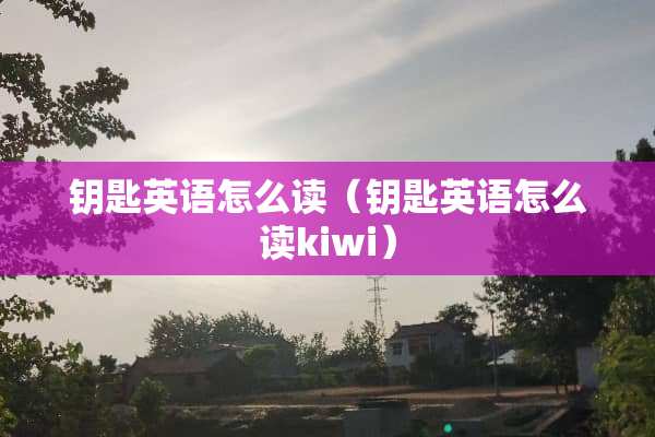 钥匙英语怎么读（钥匙英语怎么读kiwi）