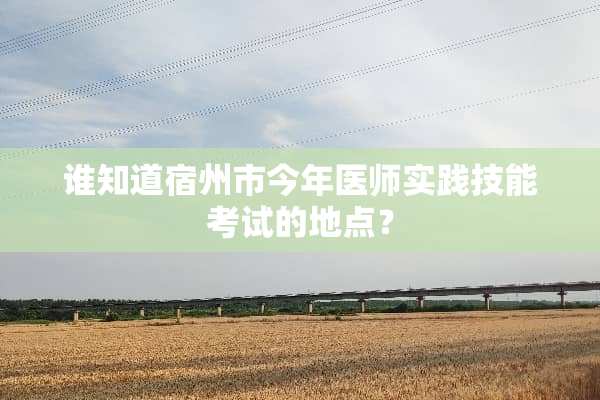 谁知道宿州市今年医师实践技能考试的地点？