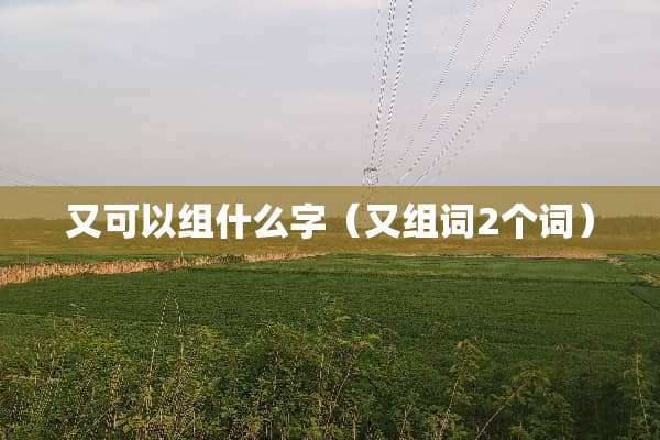 又可以组什么字（又组词2个词）