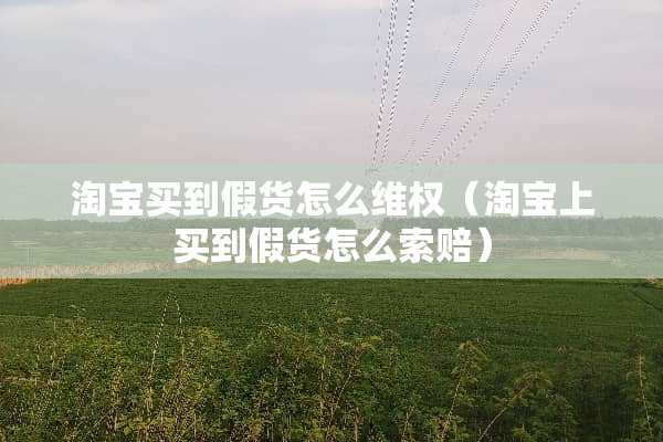 淘宝买到假货怎么**（淘宝上买到假货怎么索赔）
