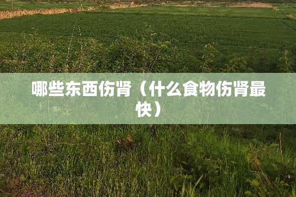 哪些东西伤肾（什么食物伤肾最快）