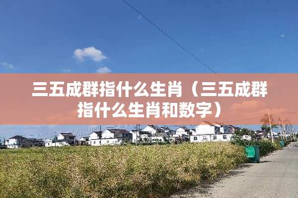 三五成群指什么生肖（三五成群指什么生肖和数字）