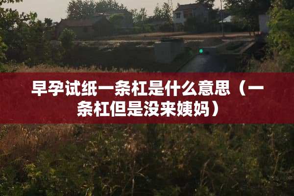 早孕试纸一条杠是什么意思（一条杠但是没来姨妈）