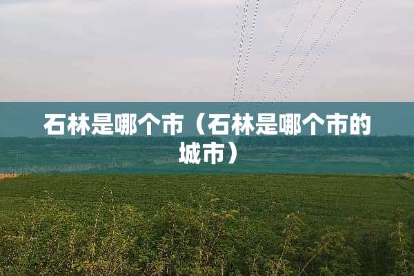 石林是哪个市（石林是哪个市的城市）
