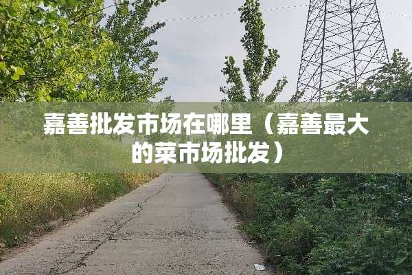 嘉善批发市场在哪里（嘉善最大的菜市场批发）
