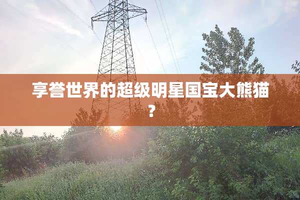 享誉世界的超级明星国宝大熊猫？