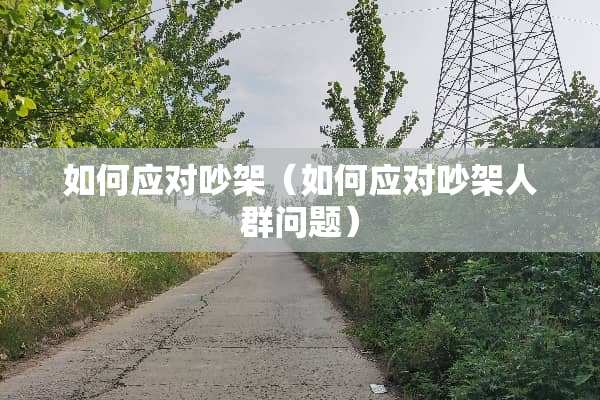 如何应对吵架（如何应对吵架人群问题）