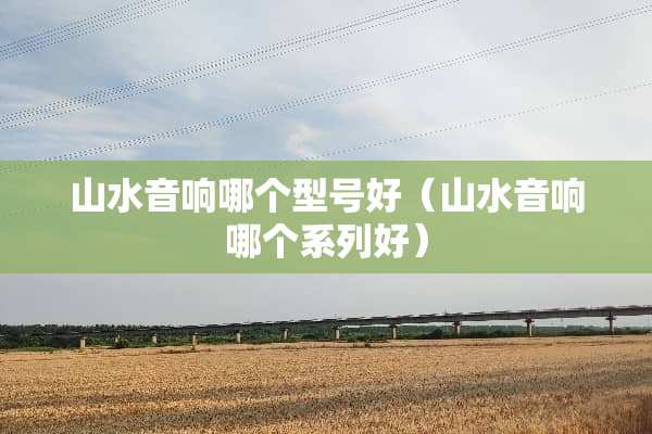 山水音响哪个型号好（山水音响哪个系列好）