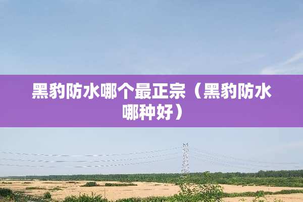 黑豹防水哪个最正宗（黑豹防水哪种好）