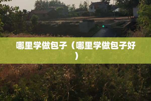 哪里学做包子（哪里学做包子好）