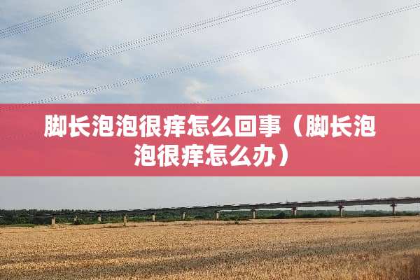 脚长泡泡很痒怎么回事（脚长泡泡很痒怎么办）