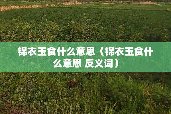 锦衣玉食什么意思（锦衣玉食什么意思 反义词）