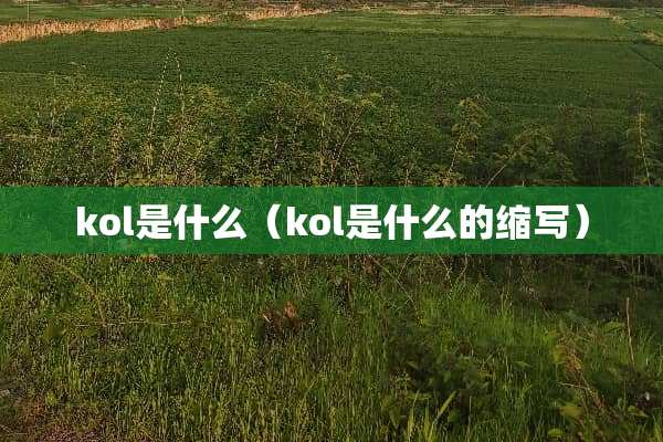 kol是什么（kol是什么的缩写）