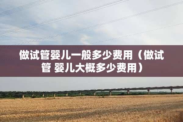 做试管婴儿一般多少费用（做试管 婴儿大概多少费用）
