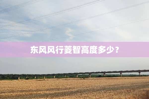东风风行菱智高度多少？