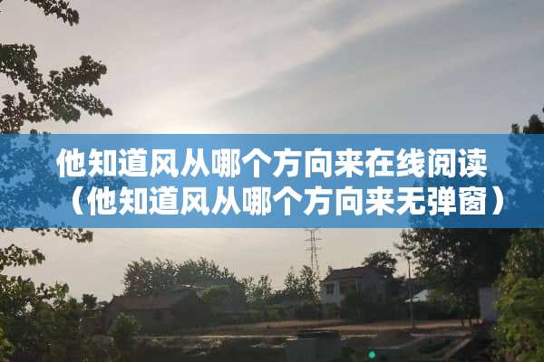 他知道风从哪个方向来在线阅读（他知道风从哪个方向来无弹窗）