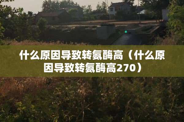 什么原因导致转氨酶高（什么原因导致转氨酶高270）