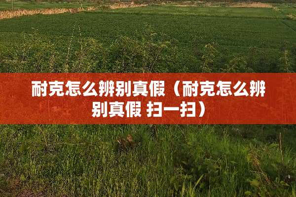 耐克怎么辨别真假（耐克怎么辨别真假 扫一扫）