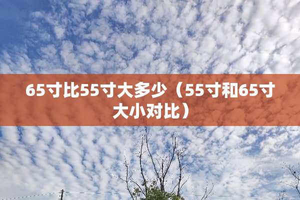 65寸比55寸大多少（55寸和65寸大小对比）