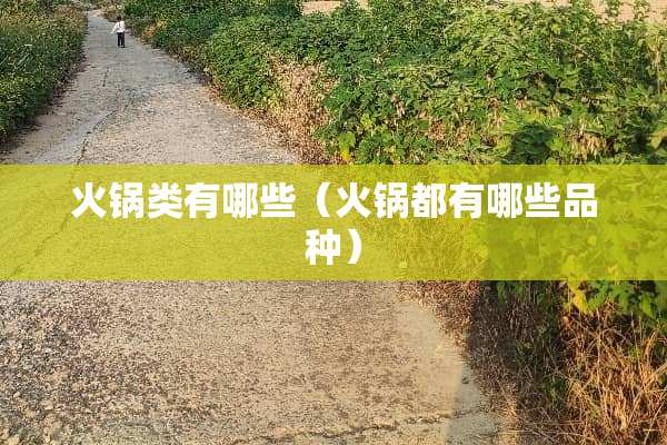 火锅类有哪些（火锅都有哪些品种）