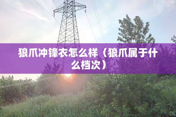 狼爪冲锋衣怎么样（狼爪属于什么档次）