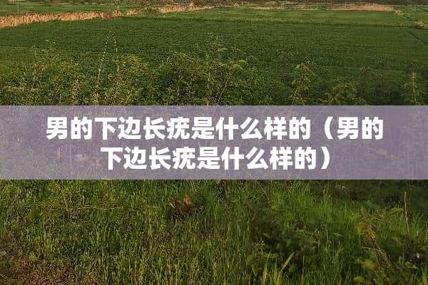 男的下边长疣是什么样的（男的下边长疣是什么样的）