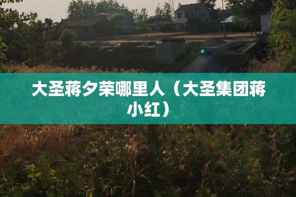 大圣蒋夕荣哪里人（大圣集团蒋小红）