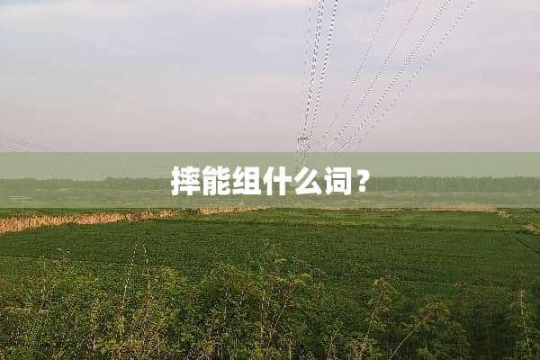 摔能组什么词？