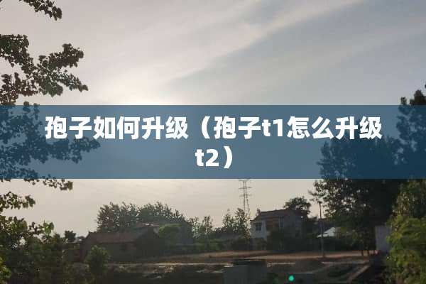 孢子如何升级（孢子t1怎么升级t2）