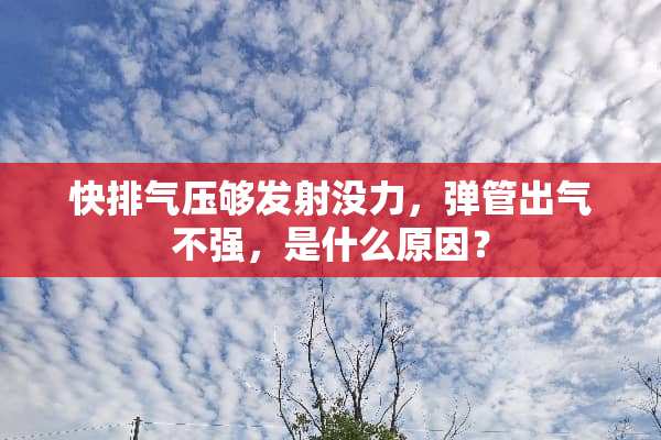 快排气压够发射没力，弹管出气不强，是什么原因？