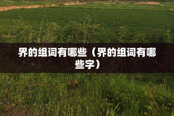 界的组词有哪些（界的组词有哪些字）