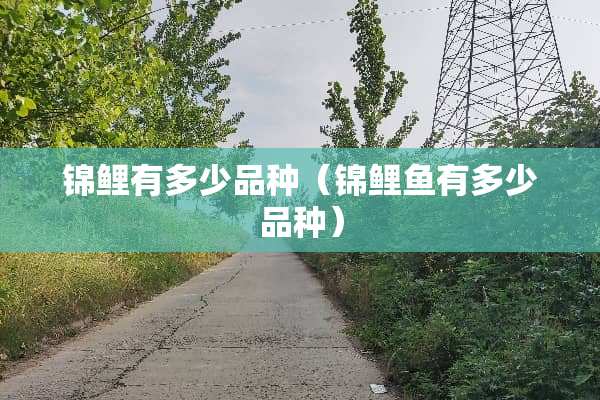 锦鲤有多少品种（锦鲤鱼有多少品种）