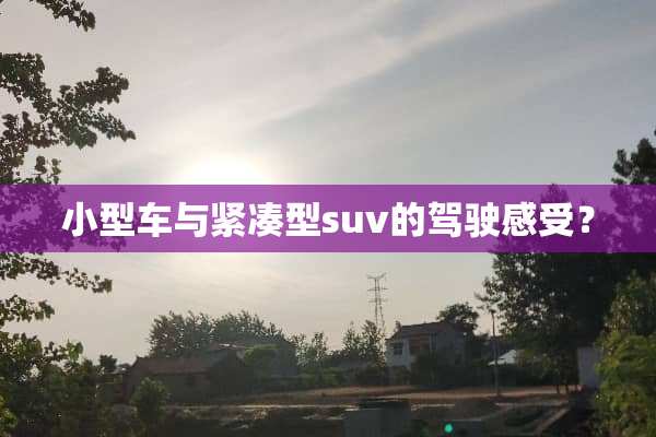小型车与紧凑型suv的驾驶感受？