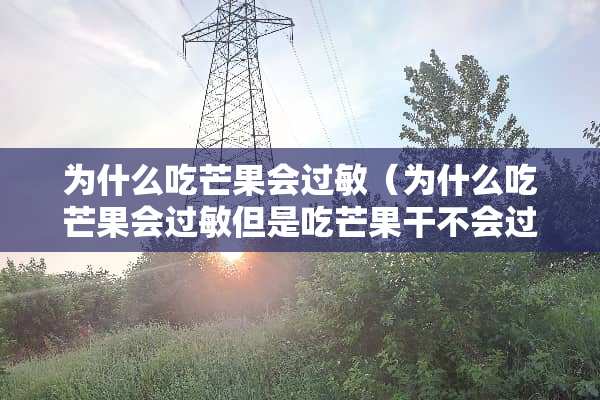为什么吃芒果会过敏（为什么吃芒果会过敏但是吃芒果干不会过敏）