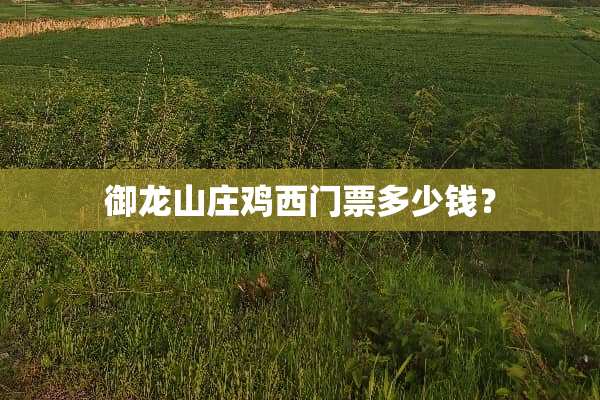 御龙山庄鸡西门票多少钱？