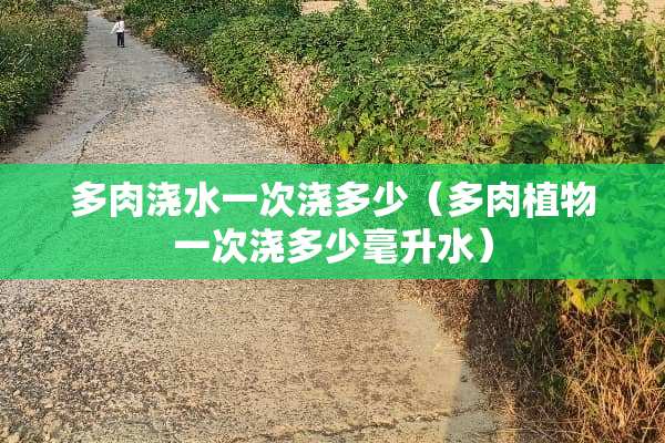 多肉浇水一次浇多少（多肉植物一次浇多少毫升水）