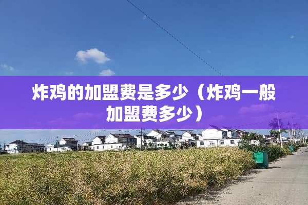 炸鸡的加盟费是多少（炸鸡一般加盟费多少）