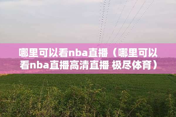 哪里可以看nba直播（哪里可以看nba直播高清直播 极尽体育）